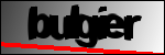 متن برای شناسایی